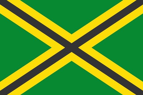 Drapeau Large Pinós de finition supérieure au format apaïsada traditionnel - 2