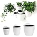 Produktbild EORTA 3-Teiliges Set Automatische Bewässerung Hängende Blumentopf, Home Office Garten Wandbehang Blumentopf, Kreative Vertikale Hängende Blumenbeet, Balkonzaun