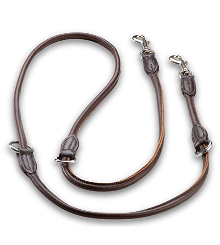 Premium Leder Hundeleine Dora 2,0m - Hunde Leder Leine mit Karabiner - verstellbar Dora (Braun)