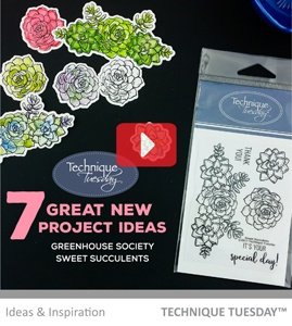 Sweet Succulents Clear Stamps | Flowers Rubber Stamps | Photopolymer Stamps | Card Making Supplies #TOP1