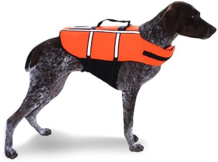 AKC Pet Life Jacket with Reflective Accents and Lift Assist Handle, Extra Extra Large, Orange