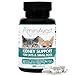 AminAvast Kidney Support Supplement for Cats and Dogs, 300mg - Promotes and Supports Natural Kidney Function - Supports Health and Vitality - Easily Administered - 60 Sprinkle Capsules