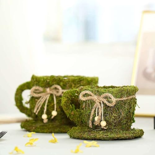 Efavormart Set of 2 Preserved Moss Teacup Planters with Natural Twine Bow, 5" and 4.5" Whimsical Moss-Covered Gift Boxes for Small Succulents
