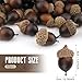 Gresorth 50pcs Artificial Lifelike Simulation Small Acorn Set Decoration Fake Fruit Faux Pine Cone Realistic Nutty with Natural Cap Model for Home Thanksgiving Halloween