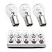 Zreneyfex 10 Pcs 6V 21/5W Tail Brake Light Bulb Tail Light Assemblies Replacement for Yamaha Replacement for Suzuki Replacement for Kawasaki Replacement for Honda for Car Motorcycle