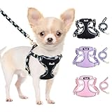 Eyein Hundegeschirr Kleine Hunde mit Leine, Atmungsaktiv Air Mesh Brustgeschirrmit reflektierenden Streifen, Verstellbarer Step-in Geschirr für extra kleine/kleine mittelgroße Hunde (Schwarz, XXS)