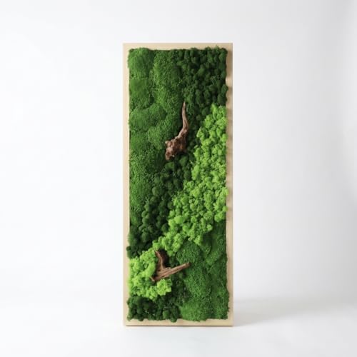 Mousse stabilisée sans entretien pour décoration murale salon bureau
