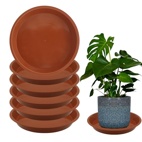 TNTIWQ 6 Pack 8 Inch Round Plant Saucers for Less 6.8 Inch Pot Indoors Outdoors Plant Trays for Pots Planter Saucer Plastic Plant Drip Tray Planter Water Tray for Potted Plants(Terracotta, 8"(6pcs))