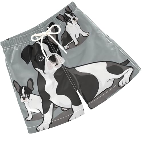 Pigsaly Boys Swim Trunks Cartoon Three Boston Terrier Dog Boys Board Shorts Swimsuit Swimwear Summer Bathing Suit 5T Multicolor
