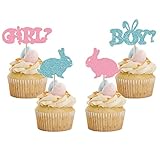 24 Pcs Boy and Girl Cupcake Toppers Blue Pink Bunny Baby Gender Reveal Party Decoration Easter Theme