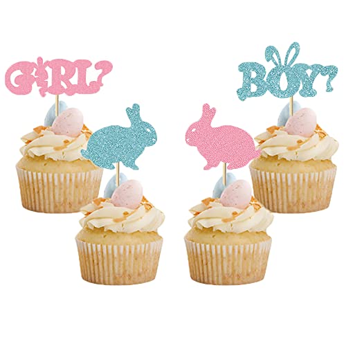 24 Pcs Boy And Girl Cupcake Toppers Blue Pink Bunny Baby Gender Reveal Party Decoration Easter Theme Cake Insert Card Mgpferd #TOP10