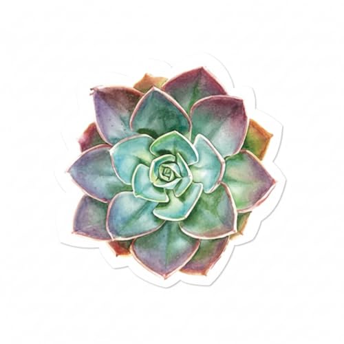 Serviettes en papier succulentes vert 16,5 cm table jetable