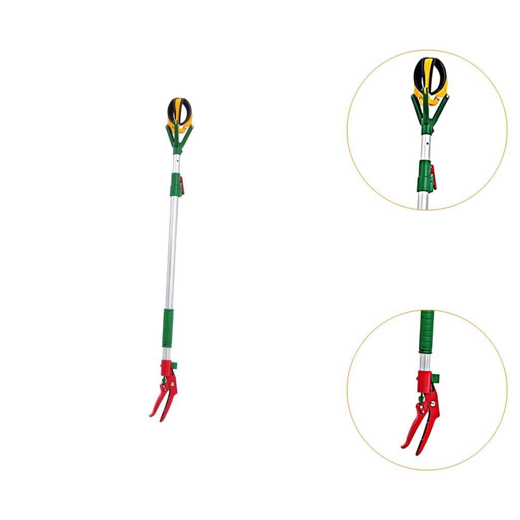 Cueille-fruits Télescopique Réglable En Alliage D'aluminium avec Griffes En Caoutchouc Amovibles et Panier de Rangement, Adapté Aux et Aux, Réglage de 1.45 M à