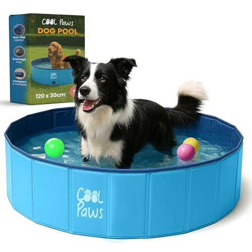 Cool Paws Paddling Pool – Foldable Dog & Kids Pool in Multiple Sizes (S–XL), Leakproof & Durable Hard Plastic Design, Pet Bath or Play Pool for Indoors, Outdoors, Garden, Patio – Blue