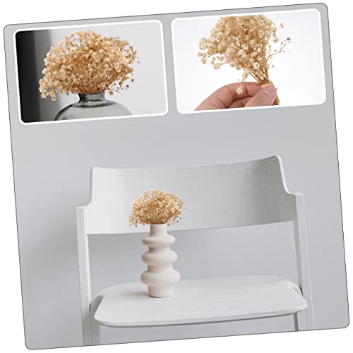 Ramo Seco de Flores Luz de Bebé Beige para Decoración miniatura 5