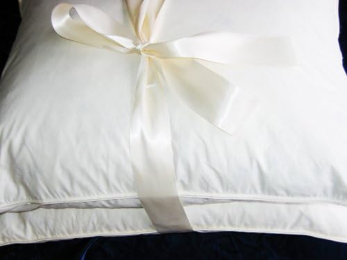 Super soft set of two EURO Pillow Form Cushion,100% polyester fiberfill,26x26