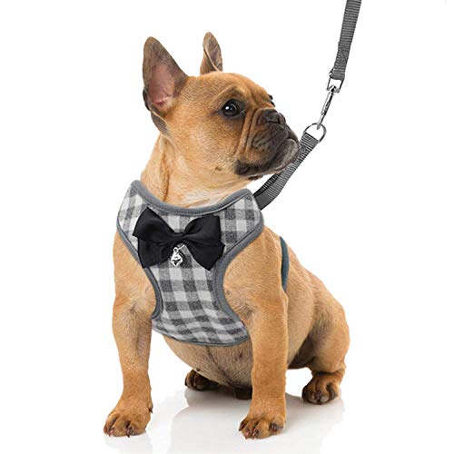 RYPET Small Dog Harness and Leash Set - No Pull Pet Harness