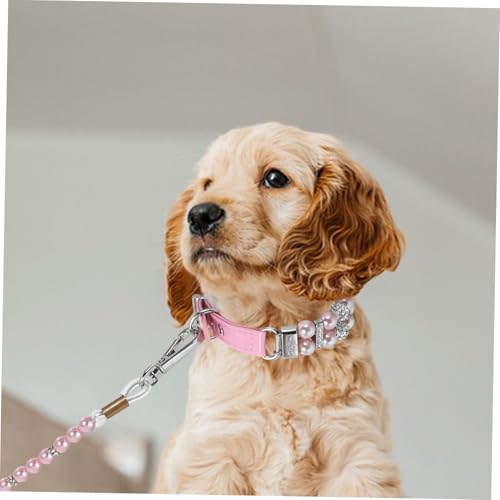Collier pour animal de compagnie et laisse r&eacute;sistante avec boucle r&eacute;glable