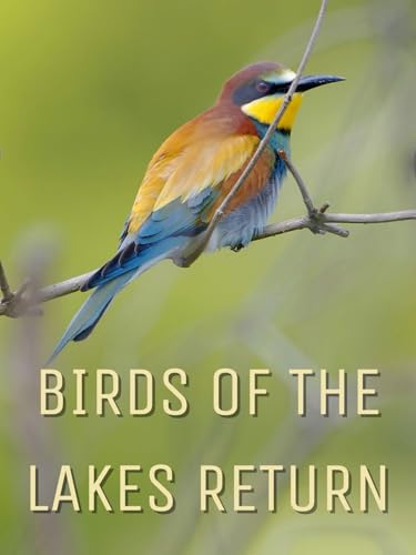 Birds of the Lakes Return