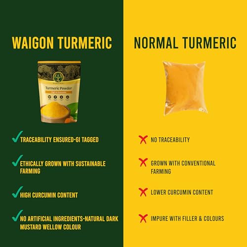 Image of THE HAND OF NATURE GI Tagged Waigaon Turmeric Powder 200g x 1 | High Curcumin Natural Haldi | Pesticide & Chemical Free | Lab-Tested for Purity | Farm Grown Turmeric | Rich in Natural oil