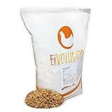 eivolution