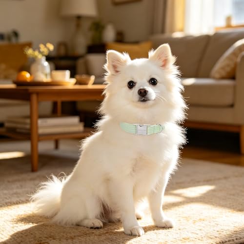 Image of ARING PET Cute Dog Collar for Puppy Small Medium Large Dogs-Green Stripe M | Cute Male Heavy Duty Pet Collars with Metal Buckle for XS S M L XL Dogs, for Beach Trips Picnic Daily Outdoor Stroll