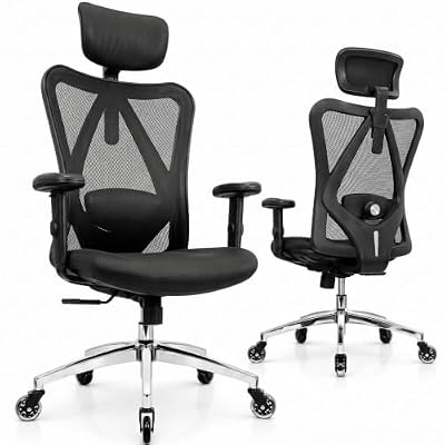 Duramont Ergonomic Chair Review