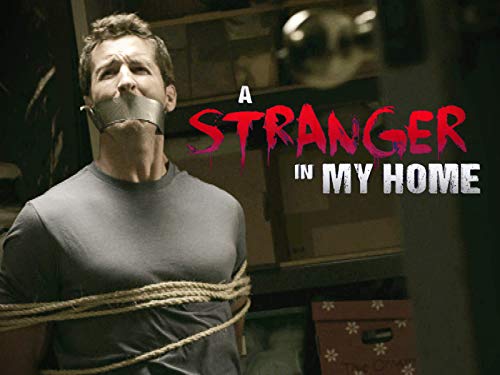 A Stranger in My Home Season 2