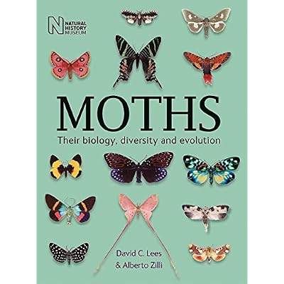 Moths