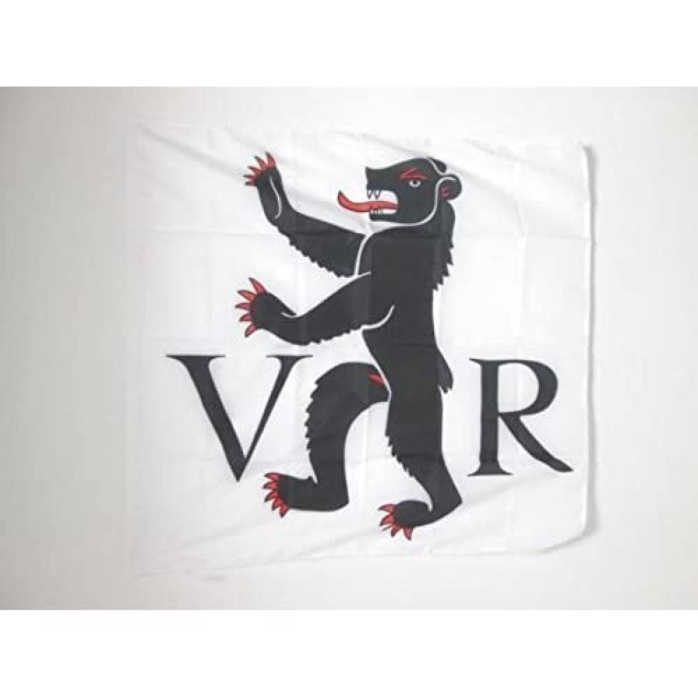 AZ FLAG, Canton of Appenzell Innerrhoden Flag, 3x3 Ft, 100% Polyester Appenzell Innerrhoden, AI Banner with Sleeve