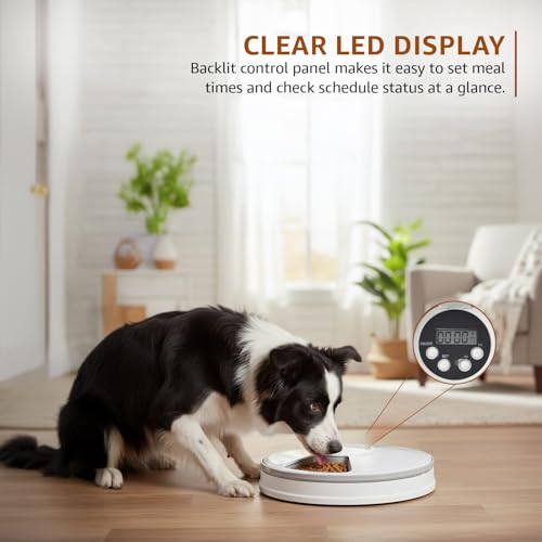 Image of Amazon Basics Automatic Rotating Tray Pet Feeder | 6-Meal Timer | Programmable Feeding with LED Display | Portion Control for Cats & Dogs | White (Plastic) (Standard)