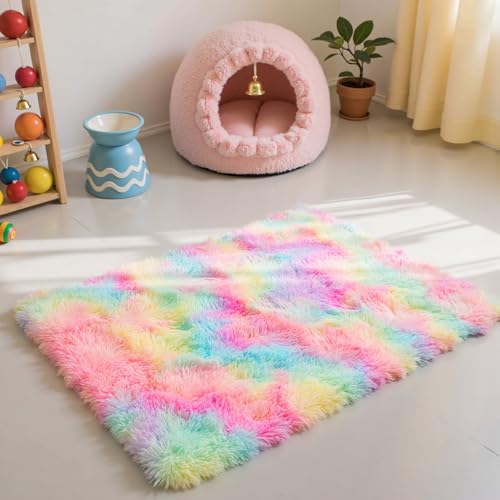 Zentavio Bedside Rugs Small 2x3 Shag Entry Entrance Rugs Soft Girls Bedroom Carpet Area Rugs for Dorm College Essentials Non-Slip Living Room Throw Rug Home Decor Aesthetic Nursery Rainbow