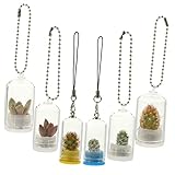 GANAZONO Miniature Glass Vase Keychain Set 6-Pack Hanging Propagation Vases for Micro Plants Decorative Air Plant Terrariums for Backpack and Home
