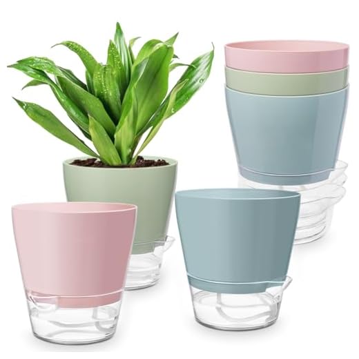 Hayder Plant Pots 6 inch Set of 6, Self Watering Flower Pots Indoor Outdoor, Self Watering Planters with Drainage Hole & Clear Saucer Reservoir
