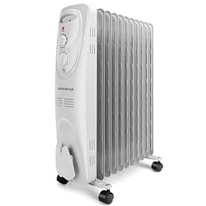 Radiateur à Bain d'Huile Portatif Aigostar