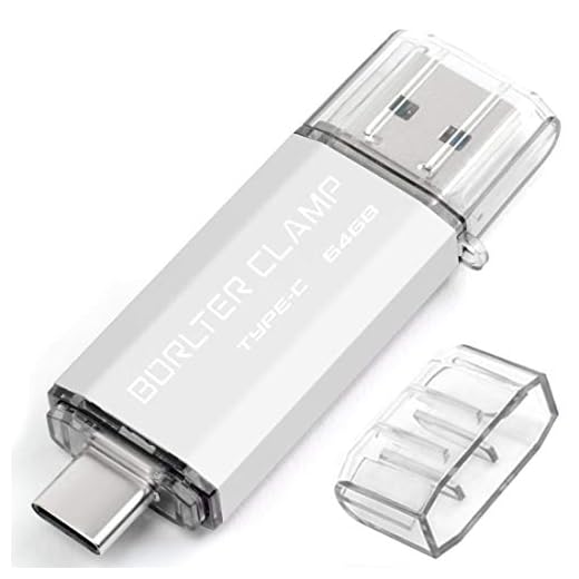 BorlterClamp 64GB Chiavetta USB 3.0 Type-C, 2 in 1 Pen Drive (USB Type C & USB 3.0) USB C Memoria Flash, OTG USB Flash Drive Girevole per Android Smartphone/Tablet/Computer (Argento)