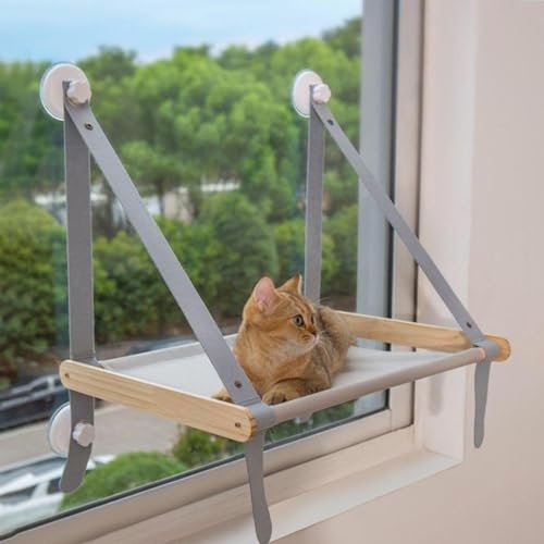 Starke Saugnapf Halterung- Katzen Liege, Stabile Befestigung Pads, Ersatz Set Ausführung Konstruktion | Praktische Nutzung Für Katzen Ruheplatz Sonnenbereich Zuhause-3