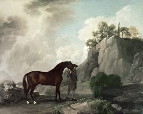 Impression toile George Stubbs Caton et le marié reproduction d'art portrait premium 60x90