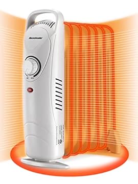 best small oil filled radiator heater