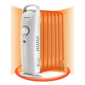 Homeleader Mini Oil Filled Heater, Portable Space Radiant Heater with Adjustable Thermostat, Electric Personal Heater with Overheat Safety, for Home and Office, 700W, White