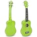 Amdini 21 Inch Ukulele for Beginners Basswood Soprano Ukelele Kit for Kids Adult Student Starter Mini Guitar Ukalelee Pack Bundle with Book Gig Bag Tuner Strap Picks Nylon Strings (Green)