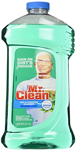 Mr. Clean 40 Ounce