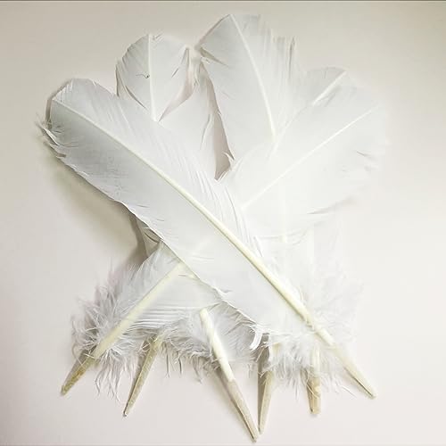 24Pcs White Turkey Feathers 10~12in Long,Beautiful Feather for Crafts 26-31cm,Bulk Big Size Bilateral Natural Feather,for Wedding Dress and Party Decoration,DIY Fabricating Handicraft Article (White) by XKTEI - Image 3