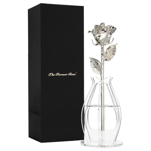 Image of Forever Rose Real Rose Dipped in Silver, Bloom Box and Phantom Vase