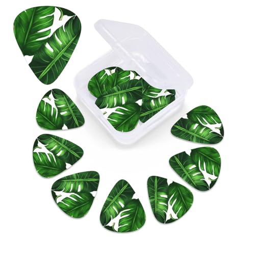 ギターピック 収納ボックス付き 厚さの異なるギターピック バナナリーフ ギタープレクトラムサンプラー アコースティックベースピック エレクトリックアコースティックギター用 12個パック