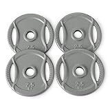Amazon Basics 1-Inch Grip Weight Plates, 2.5 lb, Set of...