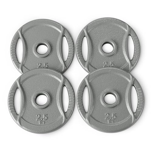 Amazon Basics 1-Inch Grip Weight Plates, 25 lb, Strength Training, Home Gym, 1 Pack by Amazon Basics - Used condition - US$28.12