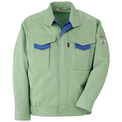 [~hS] ƕ  u] jp ѓdh~ GR}[NF ْ̍f RC196  O[ L