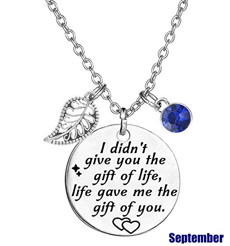 Stepdaughter Gift,Daughter In Law Gift,I Didn't Give You The Gift of Life, Life Gave Me The Gift of You Necklace Birthstone Pendant2