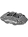 Caliper-FSL4R-R/H - Ano